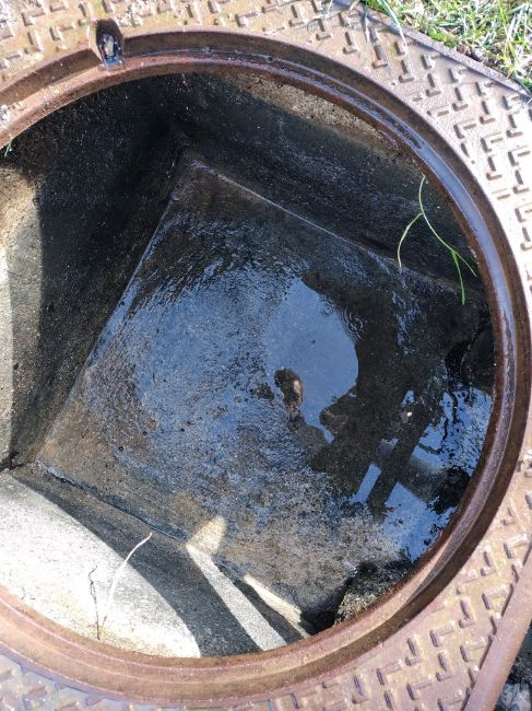 Inspection canalisation Clermont